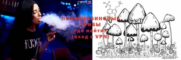 кокс Касимов