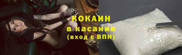кокс Касимов