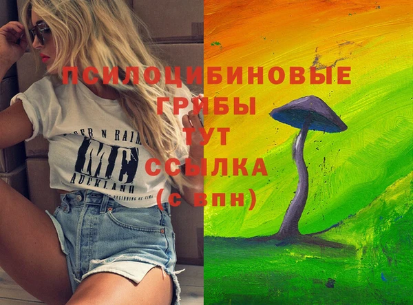 ECSTASY Карпинск
