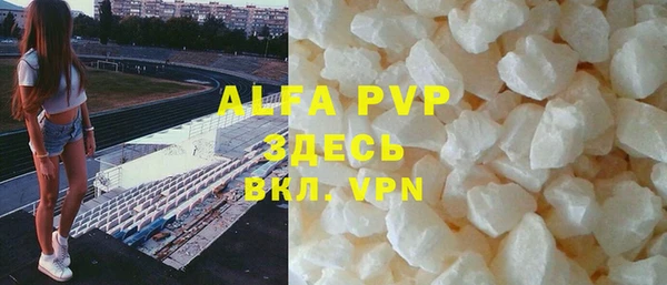 амф Бердск