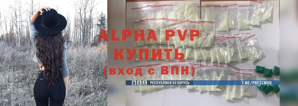 кокс Касимов