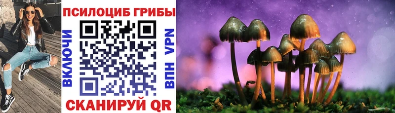 Псилоцибиновые грибы прущие грибы  Купить где  Вольск 